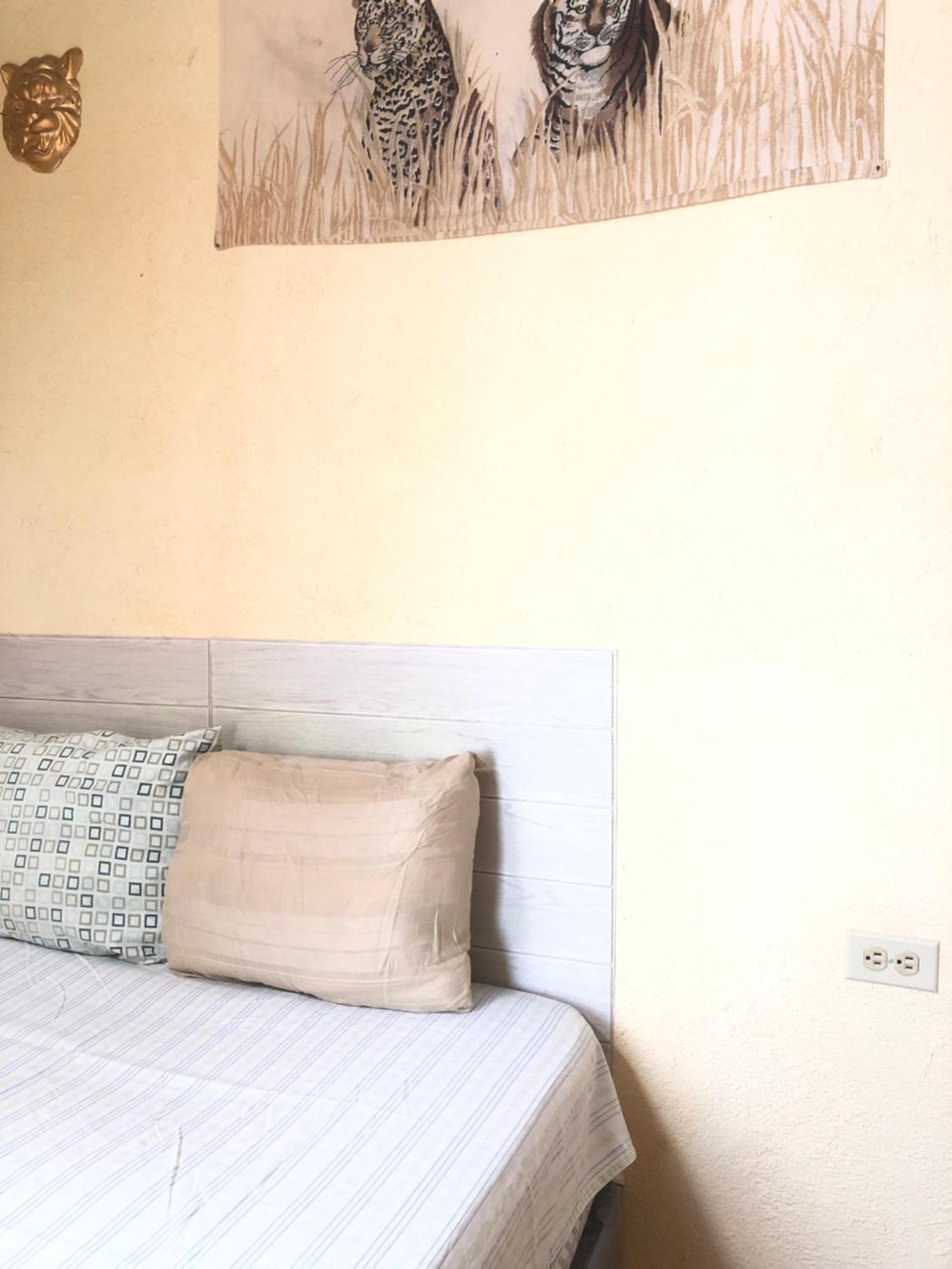 Hospedaje Basico El Jaguar Hotel Antigua Kültér fotó